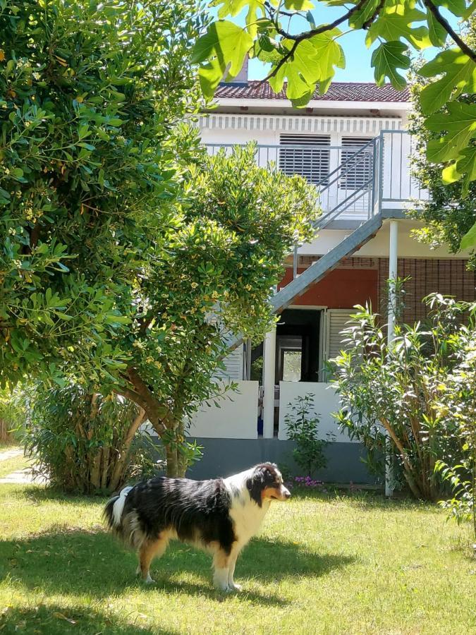 Apartamento .....Und Der Hund Darf Mit Privlaka  Exterior foto